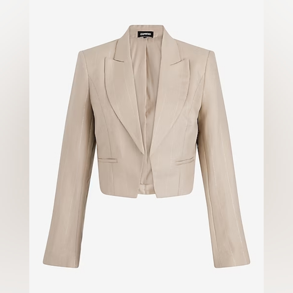 Express Faux Leather Cropped Blazer